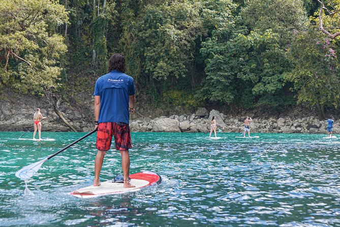 Coastline Paddle Board Tour - Customer Feedback