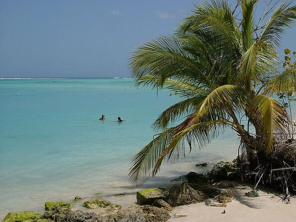 Coastline Snorkel and BBQ - About Your Stay