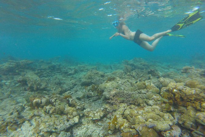 Coastline Snorkel and BBQ - Inclusions and Equipment