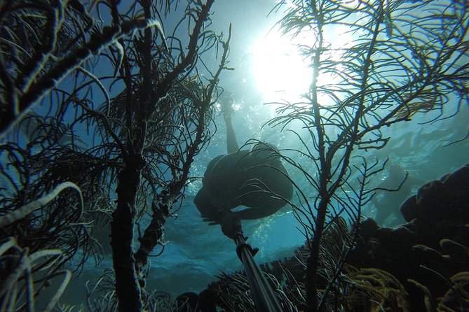 Coastline Snorkel and BBQ - Meeting and Pickup