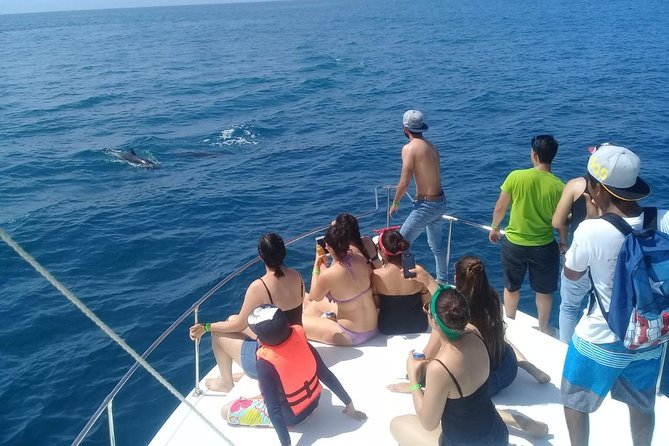 Coastline Whale & Dolphin Watching Experience - Important Tour Information