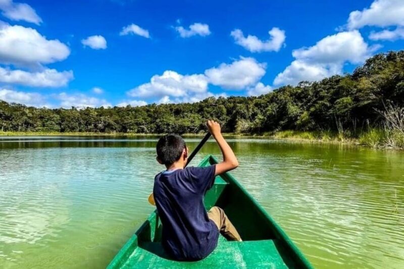 Coba: Adventure, Nature, and Mayan Heritage - Wildlife Encounters