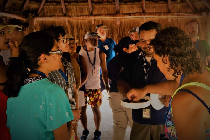 Coba and Tulum, Cenote Swim and Buffet Lunch - Cenote Swim and Lunch