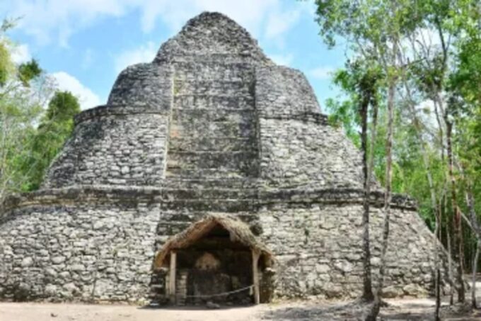 Coba and Turtles Adventure - Customer Feedback