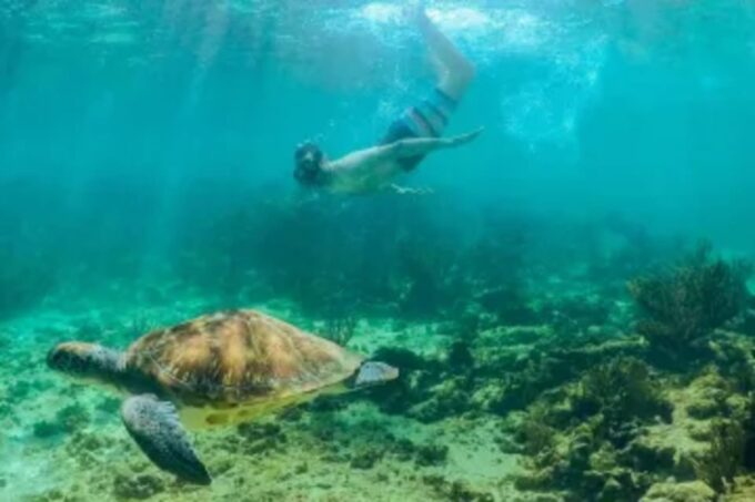 Coba and Turtles Adventure - Frequently Asked Questions