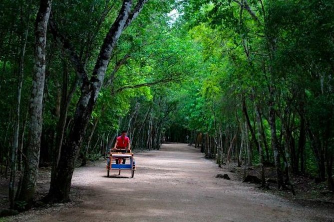 Coba Mayan Ruins and Cenote Cultural Full-Day Tour From Riviera Maya - Swim in Cenote