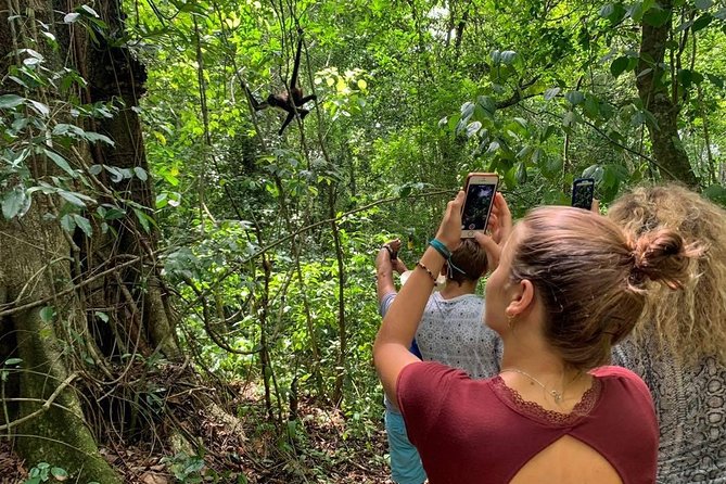 Coba & Monkey Sanctuary Punta Laguna Private Tour - Inclusions