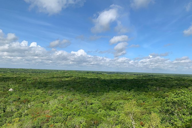 Coba Ruins and Punta Laguna Monkey Reserve Day Tour From Tulum - Tour Reviews and Experiences