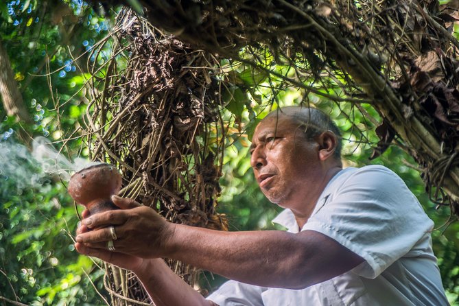 Coba Ruins, Punta Laguna Nature Reserve, Cenote and Mayan Family - Participant Requirements