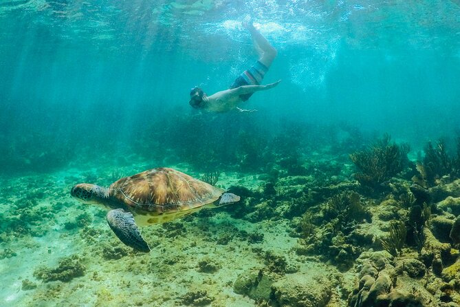 Cobá Tour and Akumal Sea Turtles Snorkeling With Lunch - Cancellation Policy and Reviews