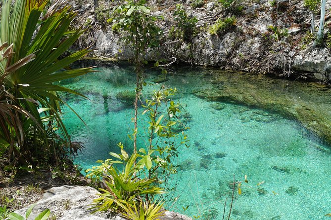 Coba, Tulum, Cenote and Mayan Village Day Trip With Lunch - Frequently Asked Questions