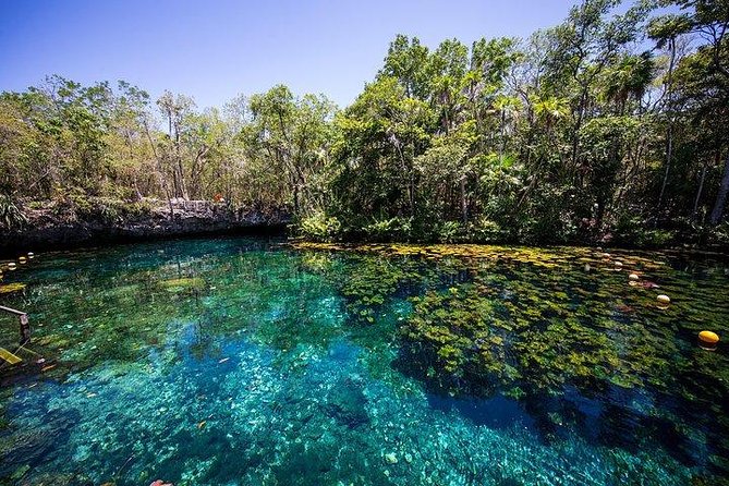 Coba & Zipline, Rappel and Cenote Snorkeling - Transportation and Accessibility
