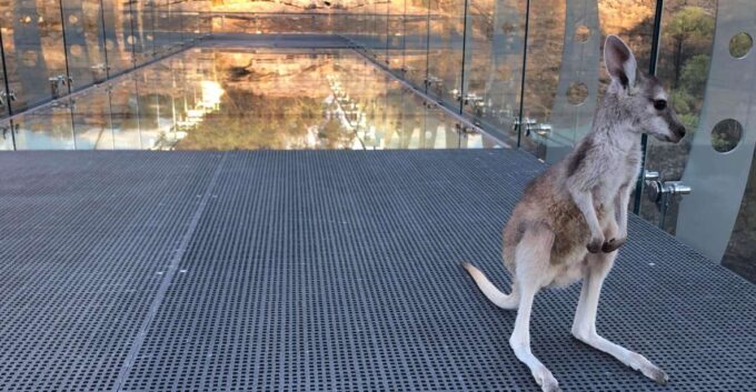 Cobbold Gorge 3 Hour Tour - Seasonal Business Operation