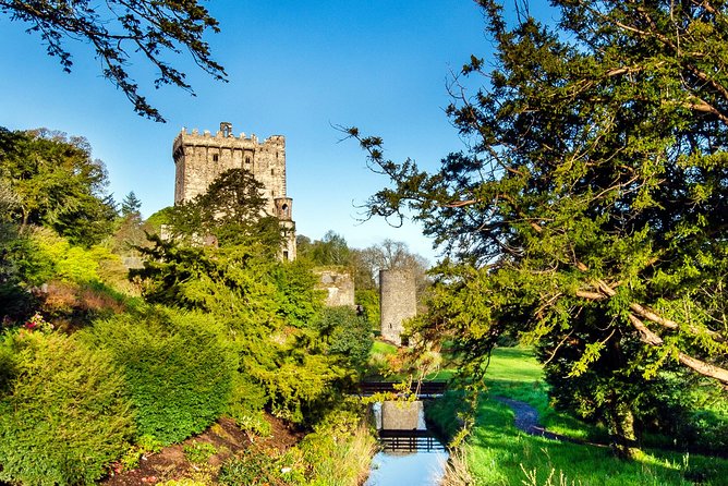 Cobh (Cork) to Blarney Castle & Kinsale - Shore Excursion - Additional Information