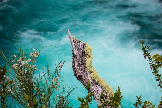Cochamo Hike Day Trip. - Key Points