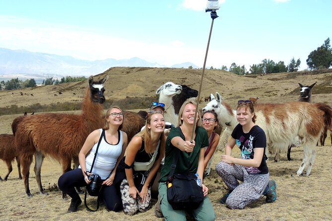Cochasqui Pyramids, Rose Plantation and Equator Line Day Tour - Key Points