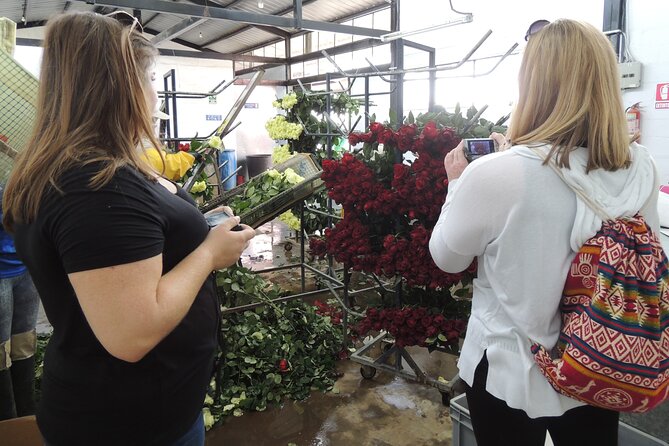 Cochasqui Pyramids, Rose Plantation and Equator Line Day Tour - Visiting the Rose Plantation