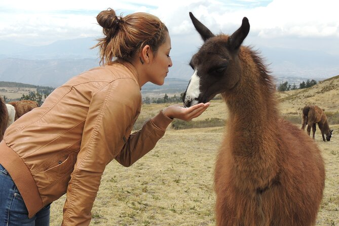 Cochasqui Pyramids, Rose Plantation and Equator Line Day Tour - Guest Feedback and Concerns