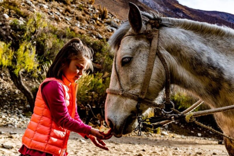 Cochiguaz: Horseback Riding, River and Mountain Range - Key Points