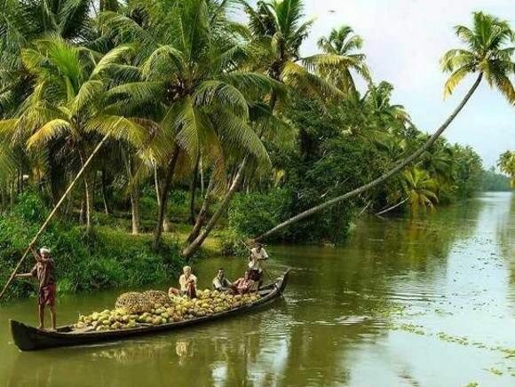 Cochin : Alleppey/Alappuzha Backwater Canoe (Shikara) Cruise - The Itinerary in Detail
