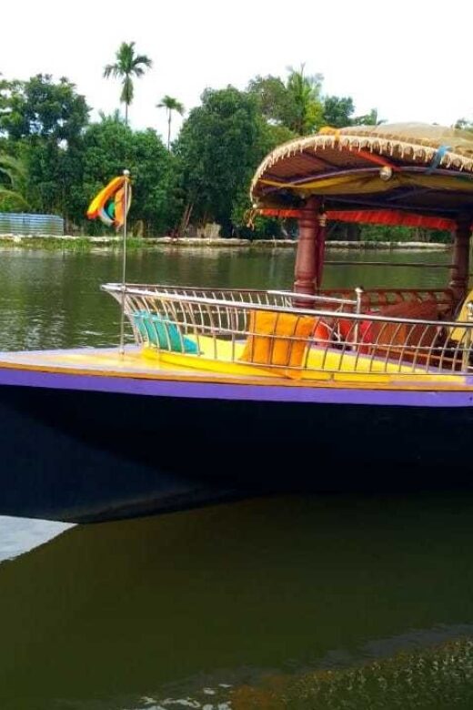 Cochin : Alleppey/Alappuzha Backwater Canoe (Shikara) Cruise - Who Is This Tour Best For?