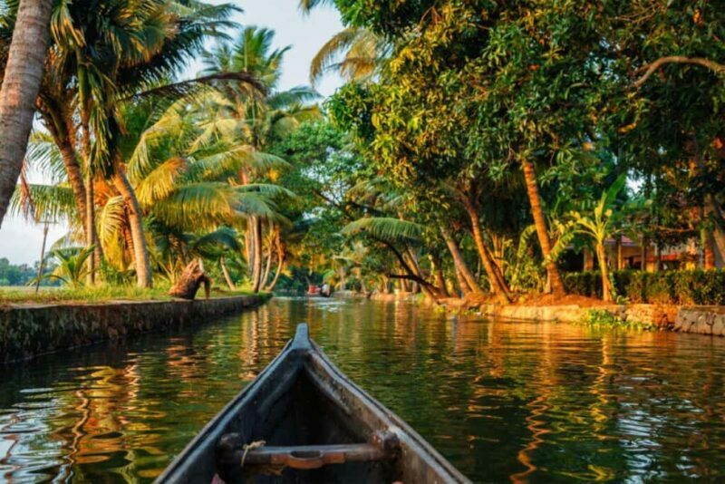 Cochin Backwaters Tour: Eco Boat Ride & Traditional Lunch - An Authentic Taste of Kerala’s Backwaters