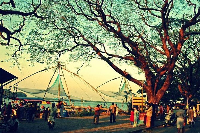 Cochin City or Backwater Shore Excursions From Cruise Terminal - Tour Inclusions and Itinerary