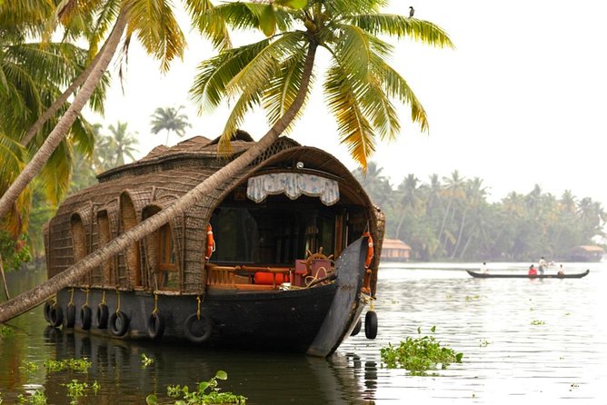 Cochin City or Backwater Shore Excursions From Cruise Terminal - Customer Feedback