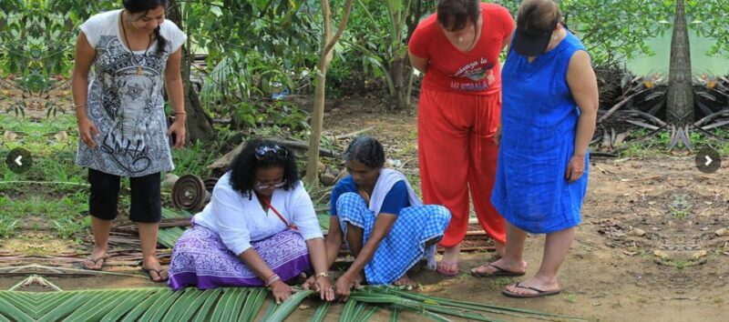 Cochin: Half-Day Backwater Village Eco Boat Cruise W/ Lunch - Experience Highlights