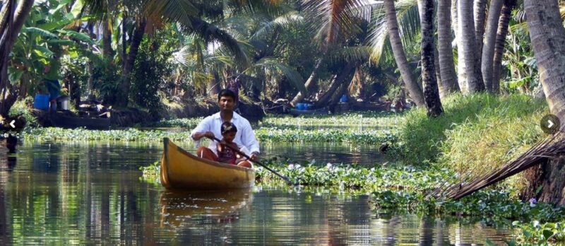 Cochin: Half-Day Backwater Village Eco Boat Cruise W/ Lunch - Boat and Transportation