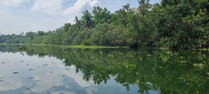 Cochin: Half-Day Backwater Village Eco Boat Cruise W/ Lunch - Frequently Asked Questions