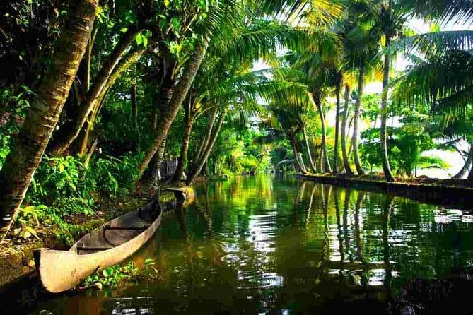 Cochin Heritage Tour With Alleppey Houseboat Cruise - Witnessing the Iconic Chinese Fishing Nets