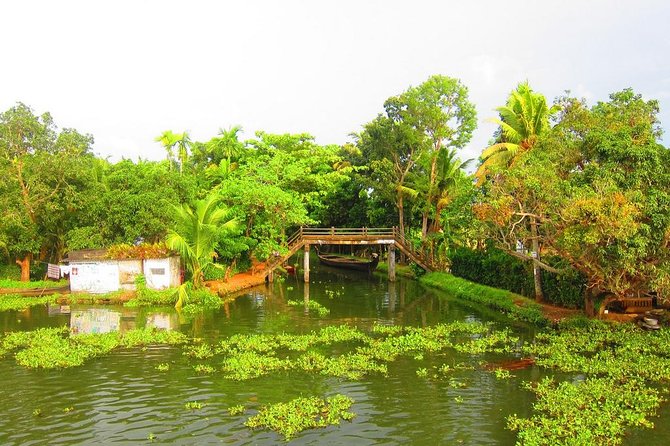 Cochin Shore Excursions From Cruise Terminal - Meeting and End Points