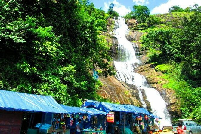 Cochin to Munnar Day trip - An In-Depth Look at the Cochin to Munnar Day Trip