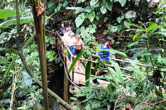 Cocoa and Chocolate Tour in San Rafael From Medellín - Discover Cocoa Cultivation