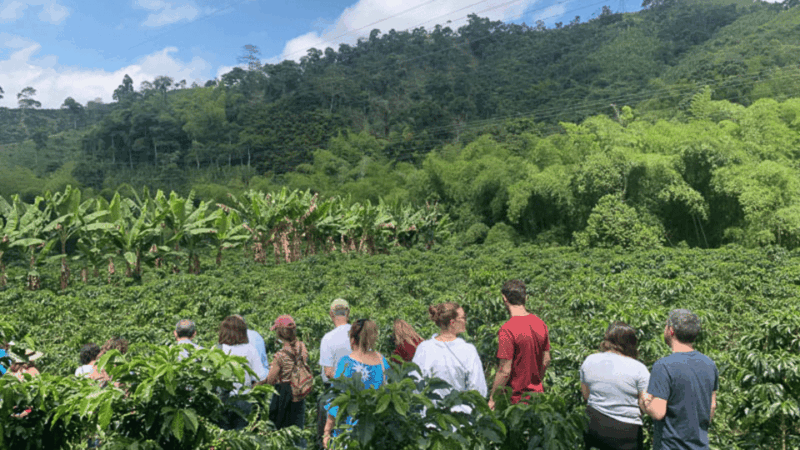 Cocoa and Coffee Farm Tours From Pereira or Armenia - Experience Highlights