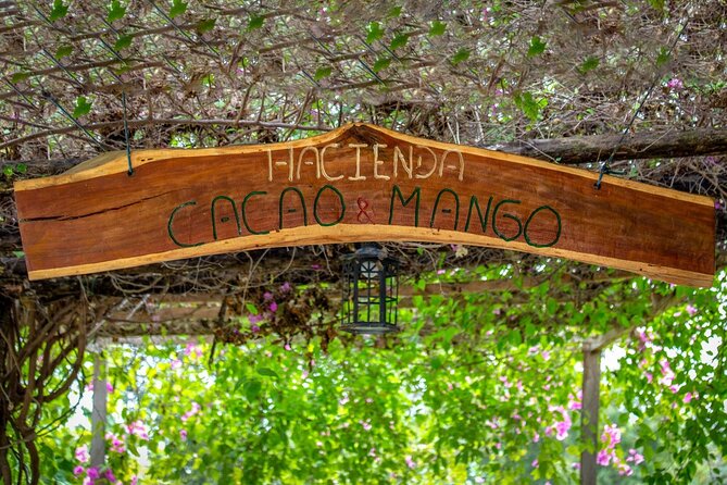 Cocoa and Gastronomy Tour at Hacienda CacaoyMango - Inclusions and Logistics