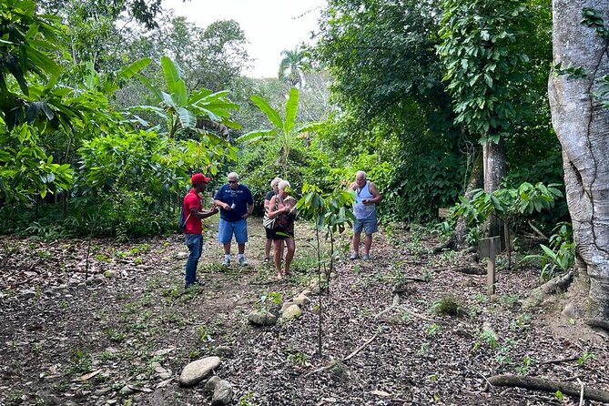 Cocoa & Artisan Chocolate Route With an Historical Tour in Puerto Plata City - Exploring Puerto Platas History