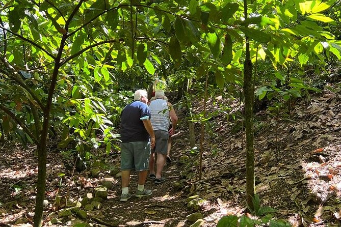 Cocoa & Artisan Chocolate Route With an Historical Tour in Puerto Plata City - Savoring a Typical Dominican Lunch