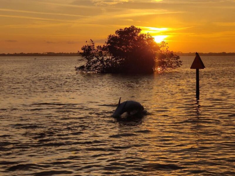 Cocoa Beach: Banana River Sunset Cruise - Rules and Regulations