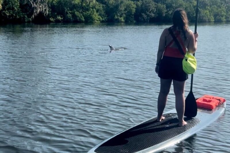 Cocoa Beach: Dolphin and Manatee Kayak or Paddle Tour - Experience Highlights