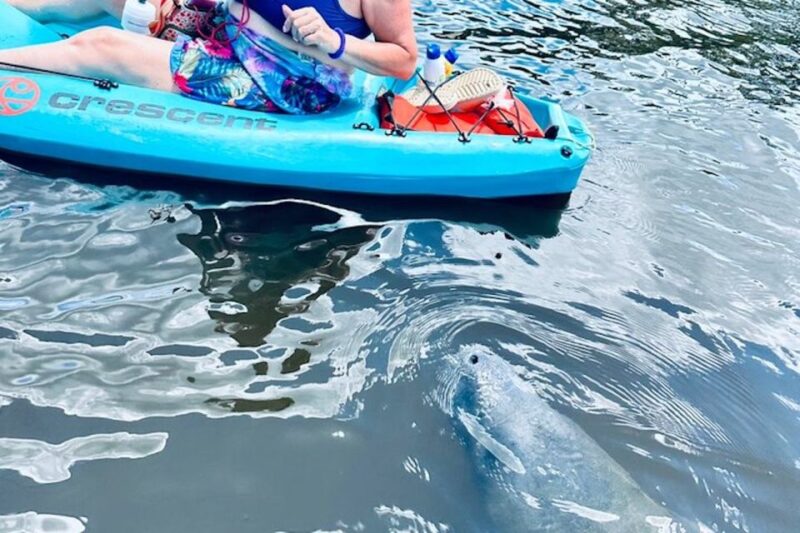 Cocoa Beach: Dolphin and Manatee Kayak or Paddle Tour - Feedback Ratings