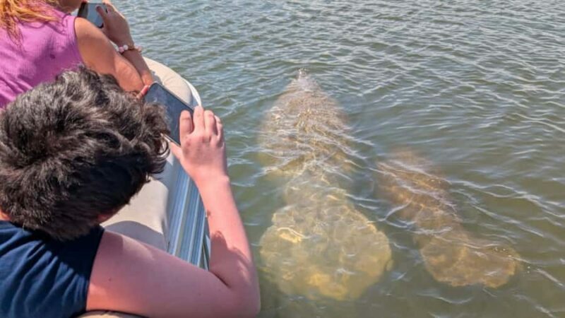 Cocoa Beach: Dolphin & Manatee Small Group Eco Boat Tour - Introducing the Cocoa Beach: Dolphin & Manatee Small Group Eco Boat Tour
