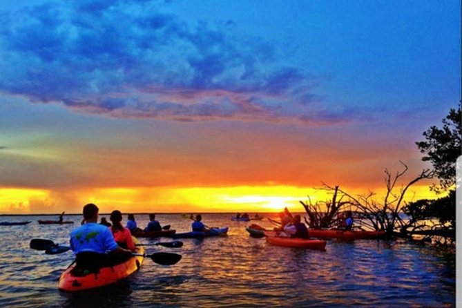 Cocoa Beach Night Time Bioluminescence Kayak Tour - Guided Tour Experience