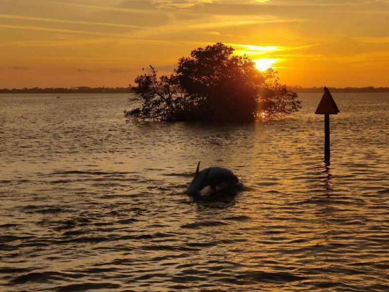 Cocoa Beach: Sunset Cruise - Price and Value: Is it Worth It?