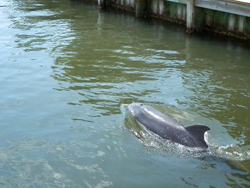 Cocoa Beach: Thousand Islands Banana River Boat Cruise - Exploring the Thousand Islands