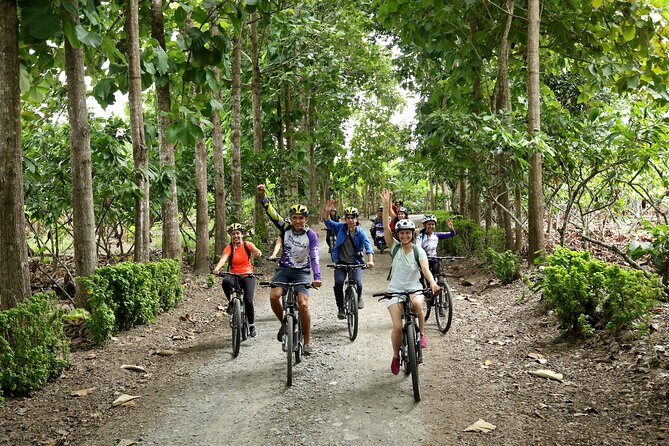 Cocoa Biking Tour - Key Points