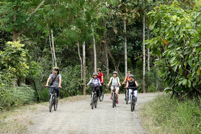 Cocoa Biking Tour - Meeting and Pickup Details