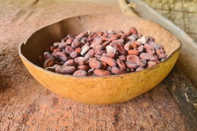 Cocoa Plantation Discovery and Workshop - Hands-on Chocolate Making Experience