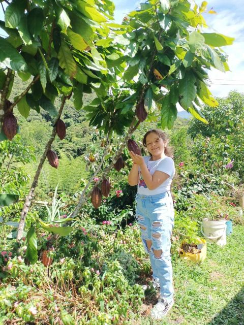 Cocoa Tour - San Rafael Antioquia From Medellín - Experience Highlights